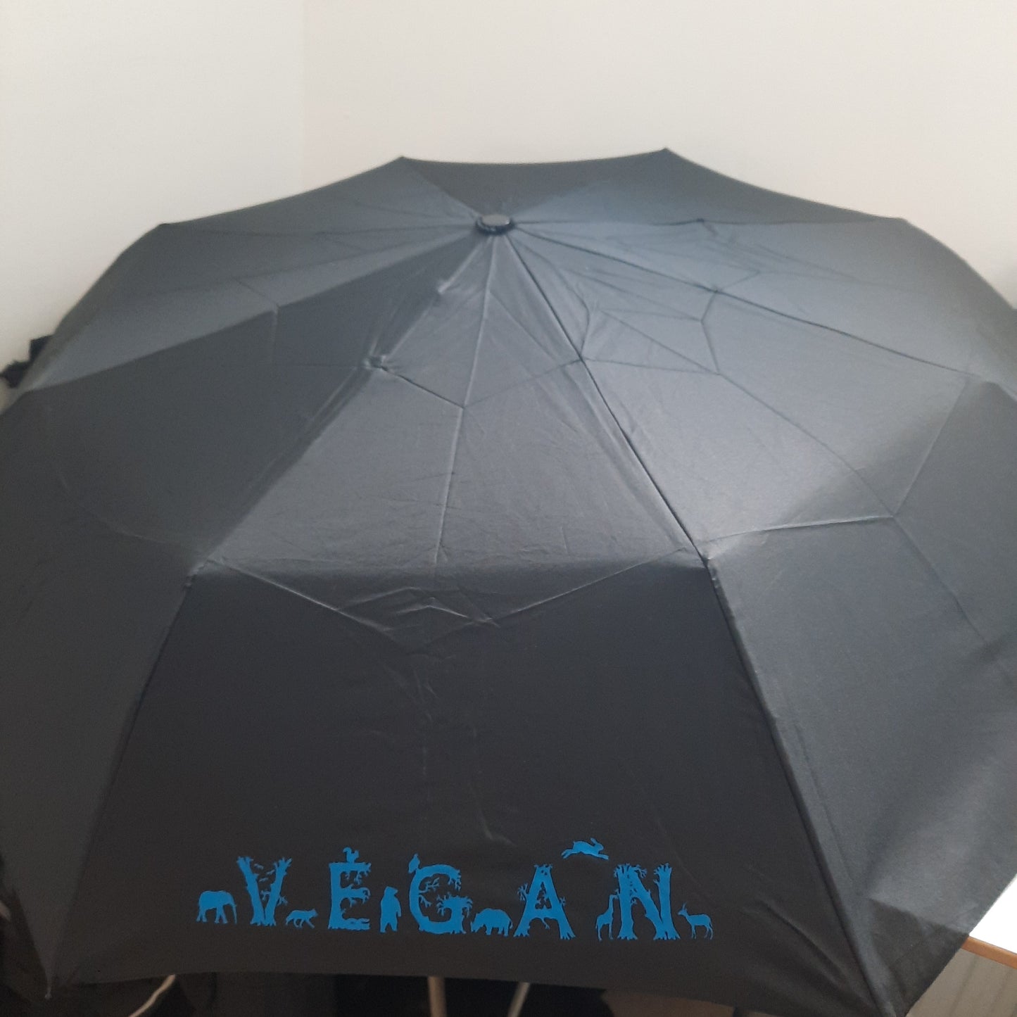 Regenschirm mit Statement