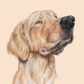Kühlschrankmagnet – Labrador Retriever