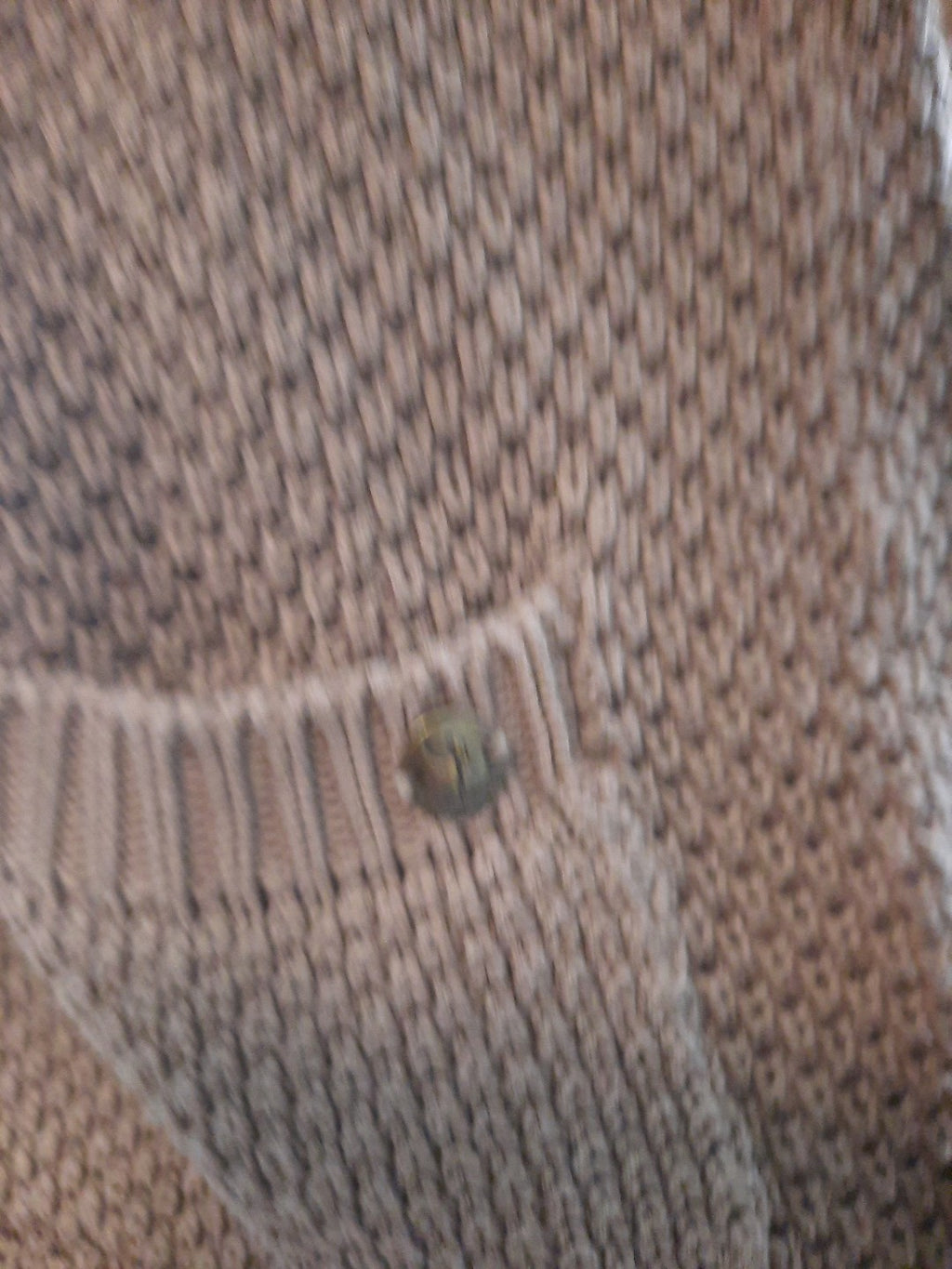Armedangels Strickjacke bio cotton 100%3