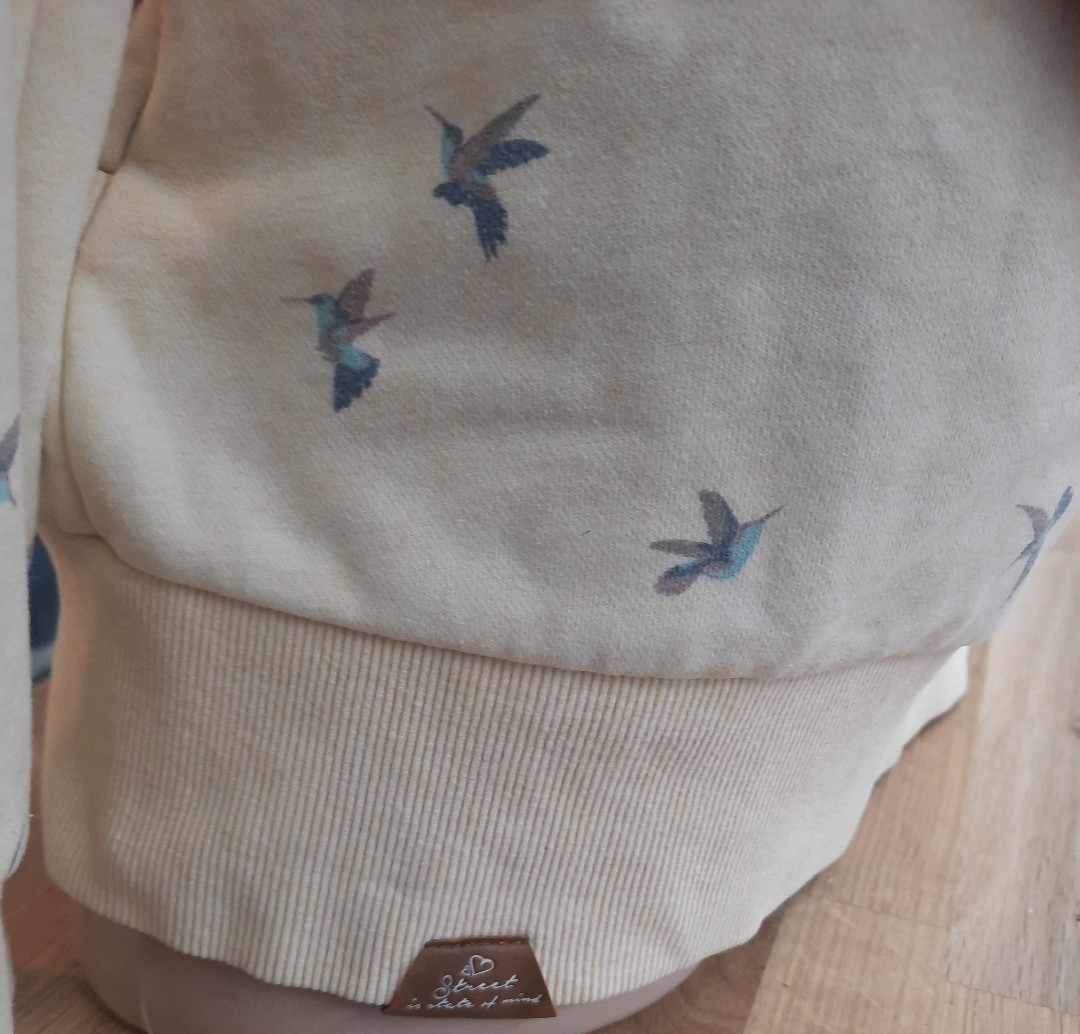 Ragwear Sweatjacke mit  Taschen Kolibri Vegan Gelbstichig9