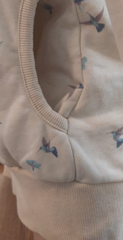 Ragwear Sweatjacke mit  Taschen Kolibri Vegan Gelbstichig8