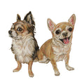 Bunter Kühlschrankmagnet mit „Chihuahua“
